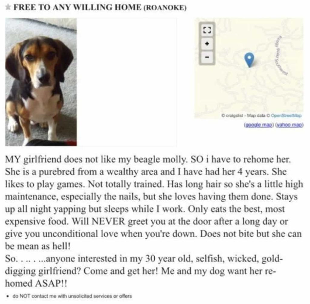 When His Girlfriend Demands Either The Dog or Her Go, His ...